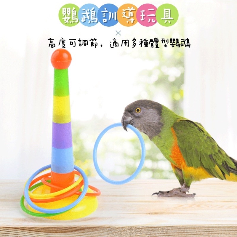 現貨🔜🚚 鸚鵡鳥益智訓練玩具 彩色套圈圈玩具 智力開發玩具 #益智玩具#鸚鵡玩具#鳥玩具#套圈圈#鸚鵡套圈圈