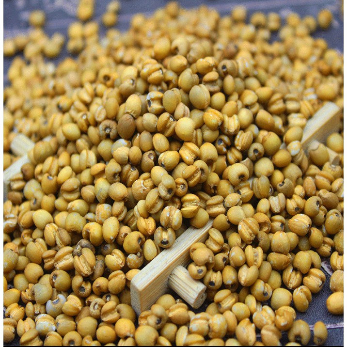 <五寶松鼠堅果鋪>新鮮有機生紅薏仁*松鼠/飛鼠/大赤鼯鼠/倉鼠/鸚鵡*