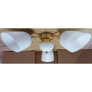 （吊扇專用燈具）臺灣製造的吊扇專用燈具青銅色/通用型吊扇燈具3+1燈 斜口塑膠燈罩