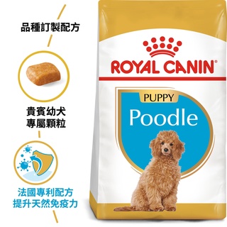 法國皇家ROYAL CANIN貴賓幼犬-PDP(3kg)