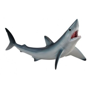 「芃芃玩具」COLLECTA 動物模型恐龍模型 R88679 尖吻鯖鯊 仿真 教材 教學 貨號88679