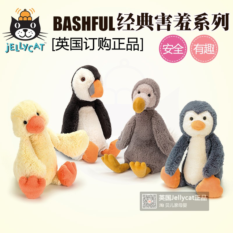 bashful penguin