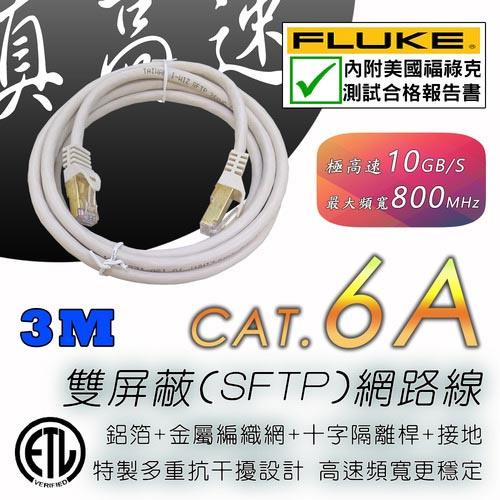 Cat.6A 真高速雙屏蔽網路線 3M