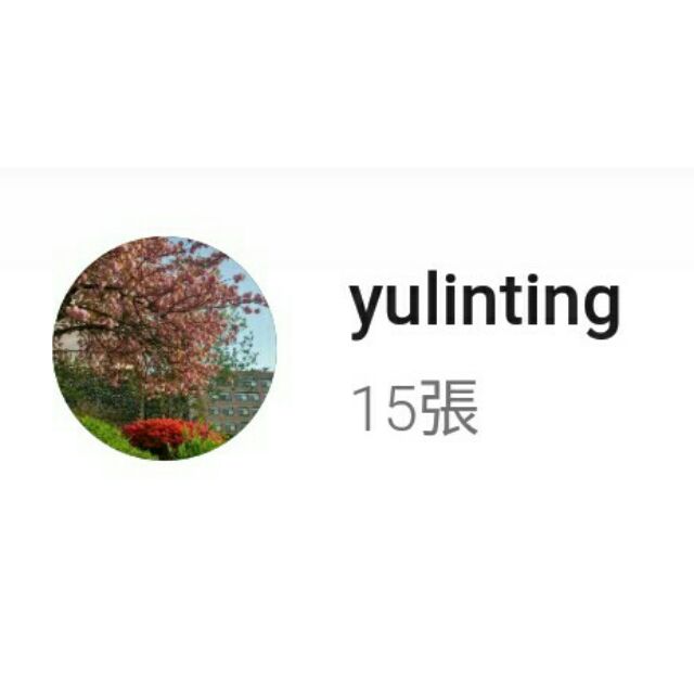 yulinting賣場(人工皮15pcs)