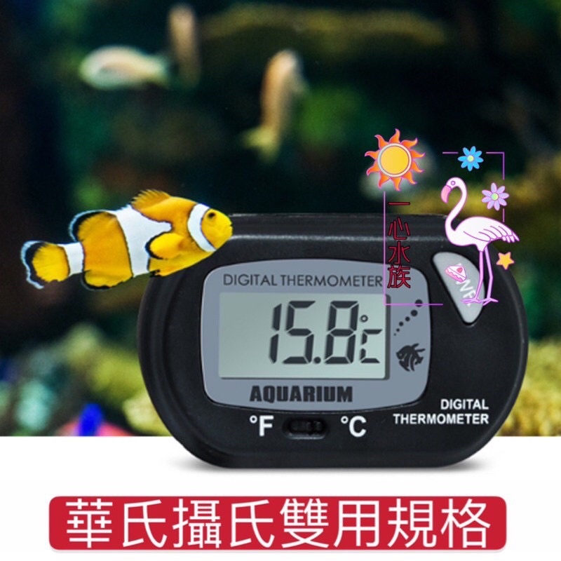 樂在🐟魚中【魚缸電子溫度計】魚缸缸外型雙顯示溫度計 探針式 水溫計 加溫器 水草缸 海水缸  魚缸 溫度計