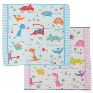 現貨 日本製 isso ecco 恐龍方巾 33 x 35 cm 紗布巾 方巾 幼兒 口水巾 幼兒園 日本毛巾 洗臉巾