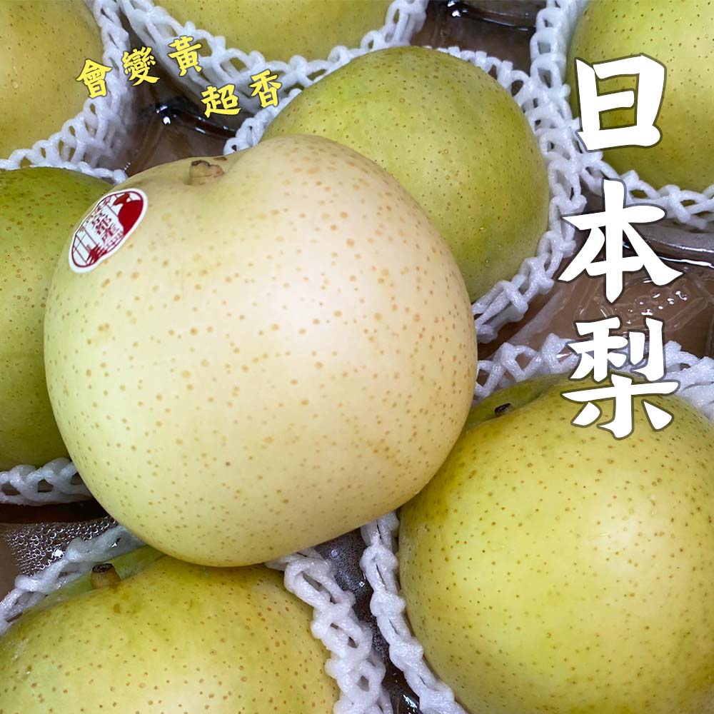 日本二十世紀梨的價格推薦 22年10月 比價比個夠biggo