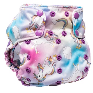 【美國 Smart Bottoms】Dream Diaper 2.0 布尿布｜成長型款｜OuiOui布尿布旗艦商城