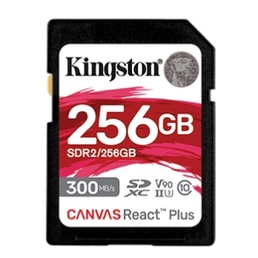 (含稅附發票)金士頓 Kingston SDR2/256GB SD 記憶卡—256GB