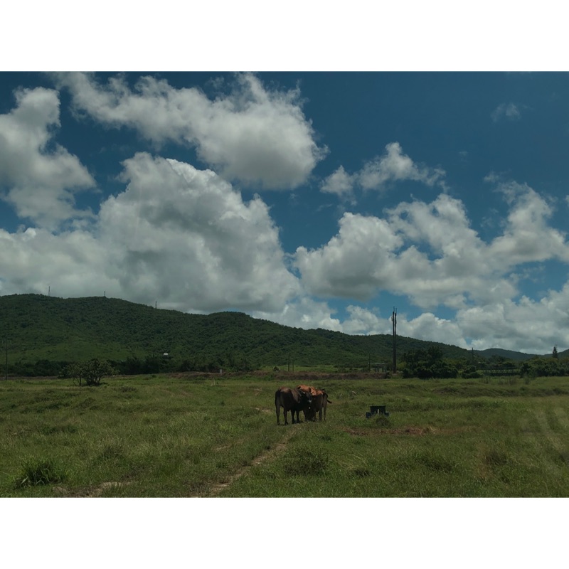 Discord Nitro Classic 代購會員discord 蝦皮購物