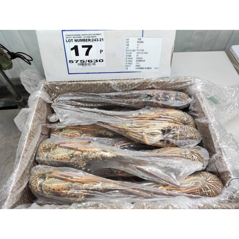 現貨大生凍龍蝦 450-500g隻 龍蝦