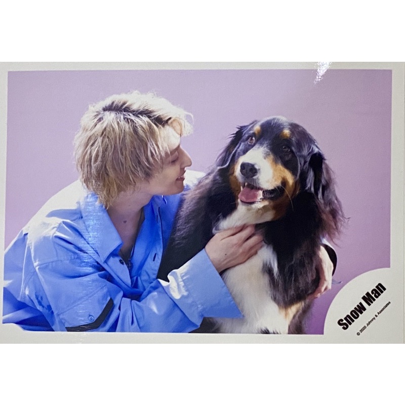 355 Snow Man官方shop照 佐久間大介雪人 蝦皮購物