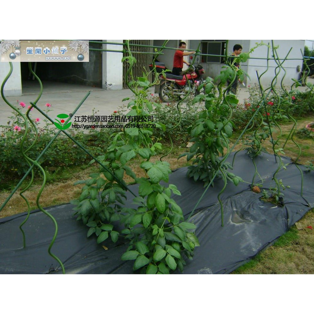 特惠家庭種植架花園庭院搭棚架植物爬藤架螺旋支架裝飾支架 笙南小鋪子 蝦皮購物