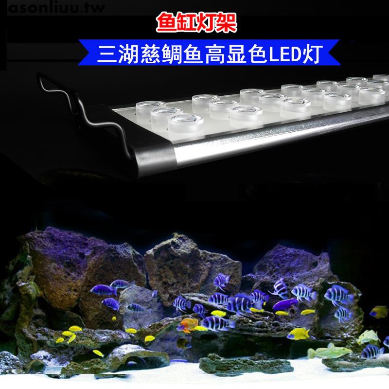 觀賞魚缸熱帶三湖魚魚缸燈三排引色燈照明高顯色led海水燈 蝦皮購物