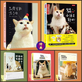 黃阿瑪的後宮生活 怎麼可能忘了你 阿瑪建國史 後宮交換日記 被貓咪包圍的日子 貓永遠是對的 黃阿瑪 cin