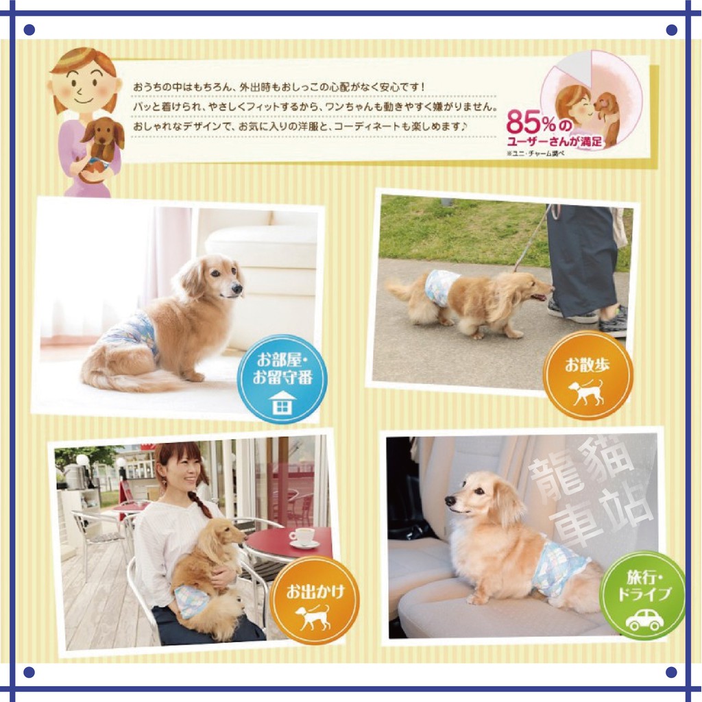 3入小包裝 日本unicharm嬌聯消臭大師公犬用禮貌帶ss S 蝦皮購物