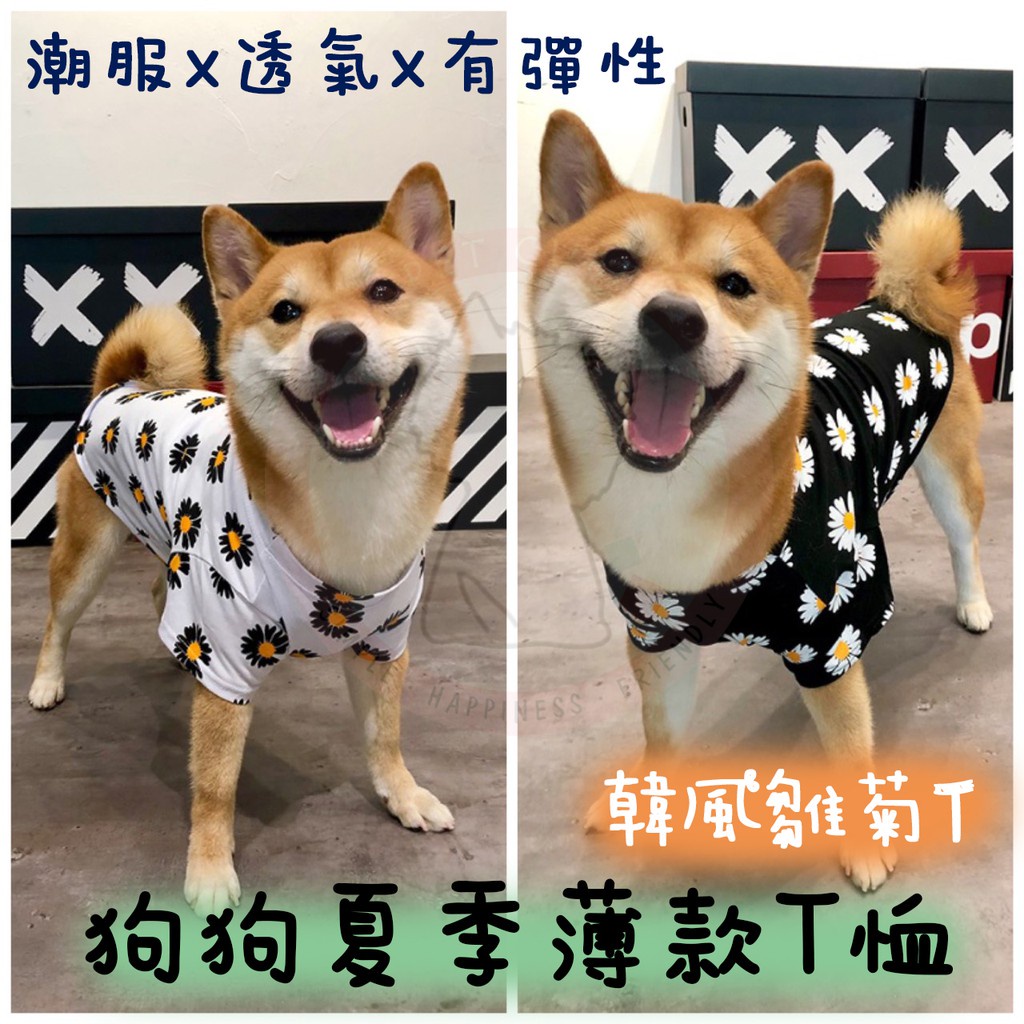 柴犬t恤 優惠推薦 21年11月 蝦皮購物台灣