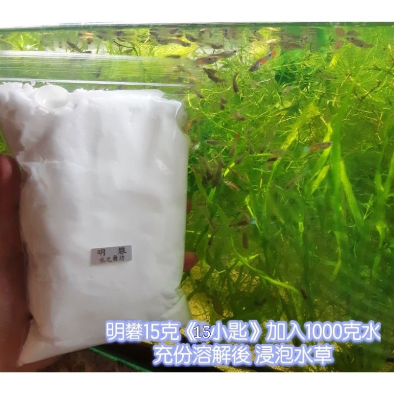 水草檢疫 明礬明礬粉水族專用水草快速檢疫除蟲除螺有效預防去除 水之舞坊 蝦皮購物