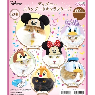 🐱絕版盒抽🉐️寵物頭套 迪士尼人物 貓咪用動物造型頭套 現貨 日本小物 造型寵物 貓咪頭套 貓頭巾 寵物都能戴唷