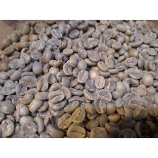 生豆 瓜地馬拉 薇薇特南果 瑪雅 咖啡生豆