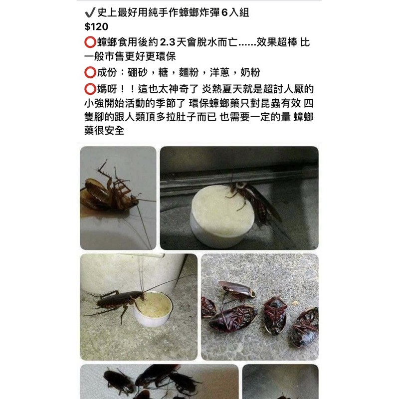 #K台灣   #7月3日結單  ✔️史上最好用純手作蟑螂炸彈6入組 $120 ⭕️蟑螂食用後約2.3天會脫水而亡…