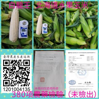 【安心農產品】北海道 白龍王 水果玉米每支25元 #安心食材 #牛奶玉米 ＃白龍王玉米 北海道水果玉米