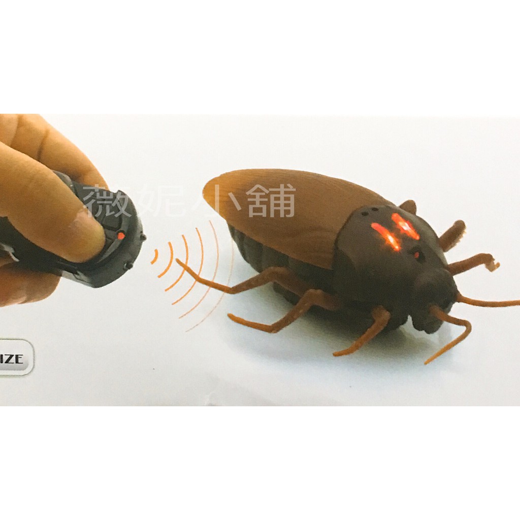 《翔翼玩具》遙控蟑螂 模擬真實蟑螂 萬聖節 逼真 搞怪嚇人 戲弄玩具 遙控 兒童玩具63107 安全標章合格玩具
