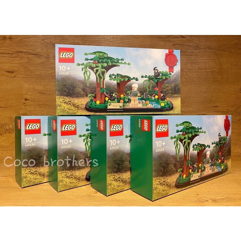 LEGO 樂高 40530 致敬珍·古德Jane Goodall Tribute