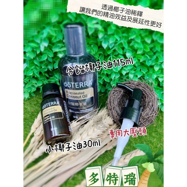 多特瑞 原裝公司分餾椰子油115ml+小椰子油30ml+大壓頭🥥