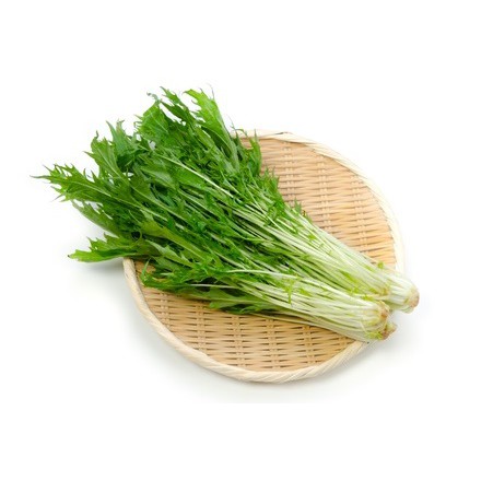 268菜園 水菜種子 Mizuna 蝦皮購物
