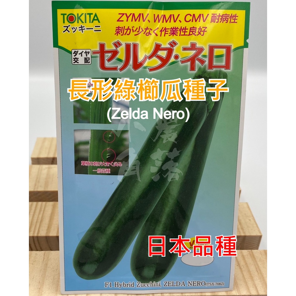 【現貨。不用再問】日本TOKITA 綠色 長形 櫛瓜種子 (1粒9元) 夏南瓜種子 F1種子 一代雜交 抗病佳