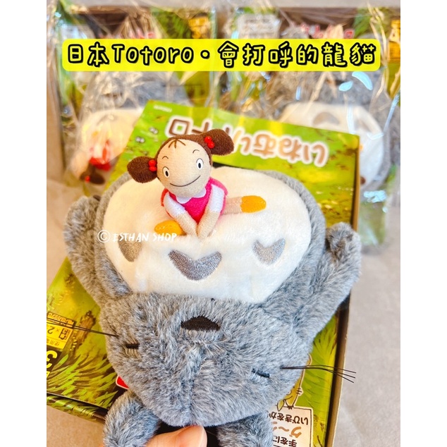 伊斯坦寶小物｜日本限量 龍貓 睡午覺 會打呼的龍貓娃娃 豆豆龍 吉卜力 宮崎駿 Totoro 毛絨娃娃 玩偶 抱枕 禮物