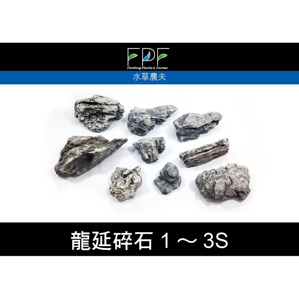 本格派ま 青龍石 龍王石 魚用品 水草 Ucs Gob Ve