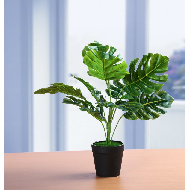 人造盆栽仿真綠植小盆栽 龜背芋 家居桌面裝飾小擺件 蝦皮購物