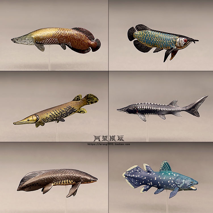 蝦皮購物 花得更少買得更好