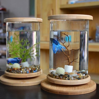 鬥魚瓶 優惠推薦 21年6月 蝦皮購物台灣