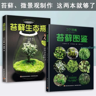 苔藓球 優惠推薦 21年9月 蝦皮購物台灣