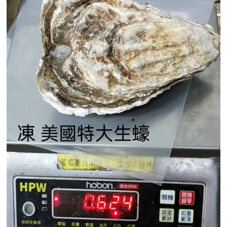 【極海鮮】消費滿$3000，送超商冷凍店取免運，冷凍美國巨無霸生蠔，15公分或以上/顆，超大尺寸