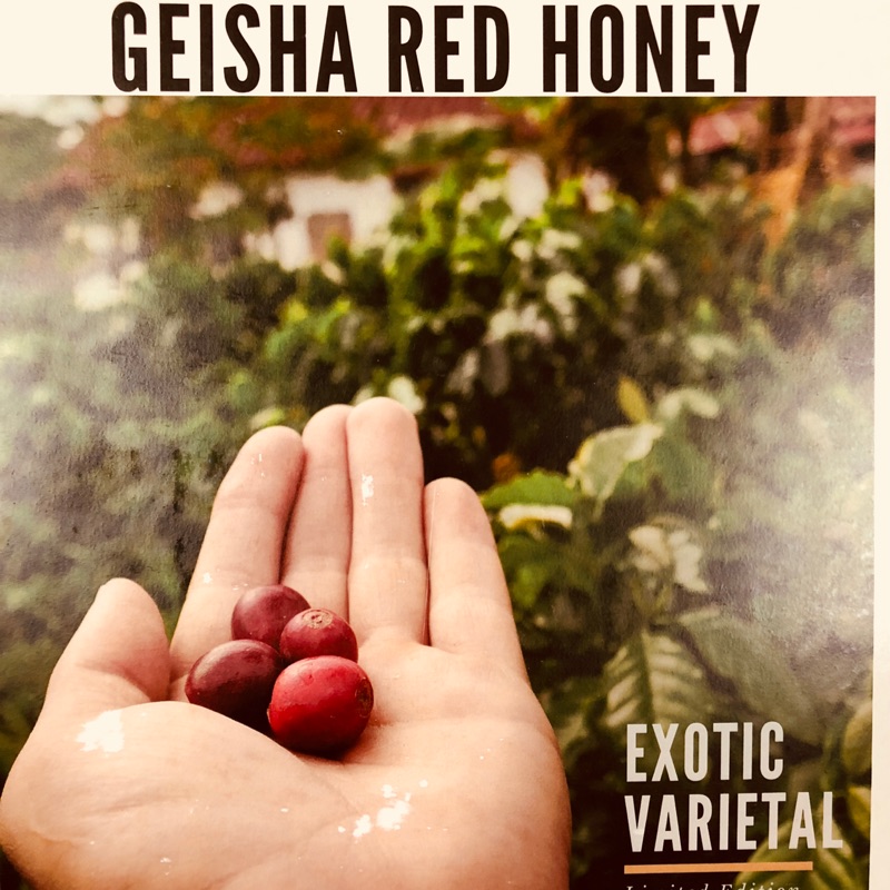 熊團長系列：哥倫比亞 🇨🇴 Geisha 藝妓 紅蜜處理 天狼星批次 空運版（代烘焙+生熟豆）