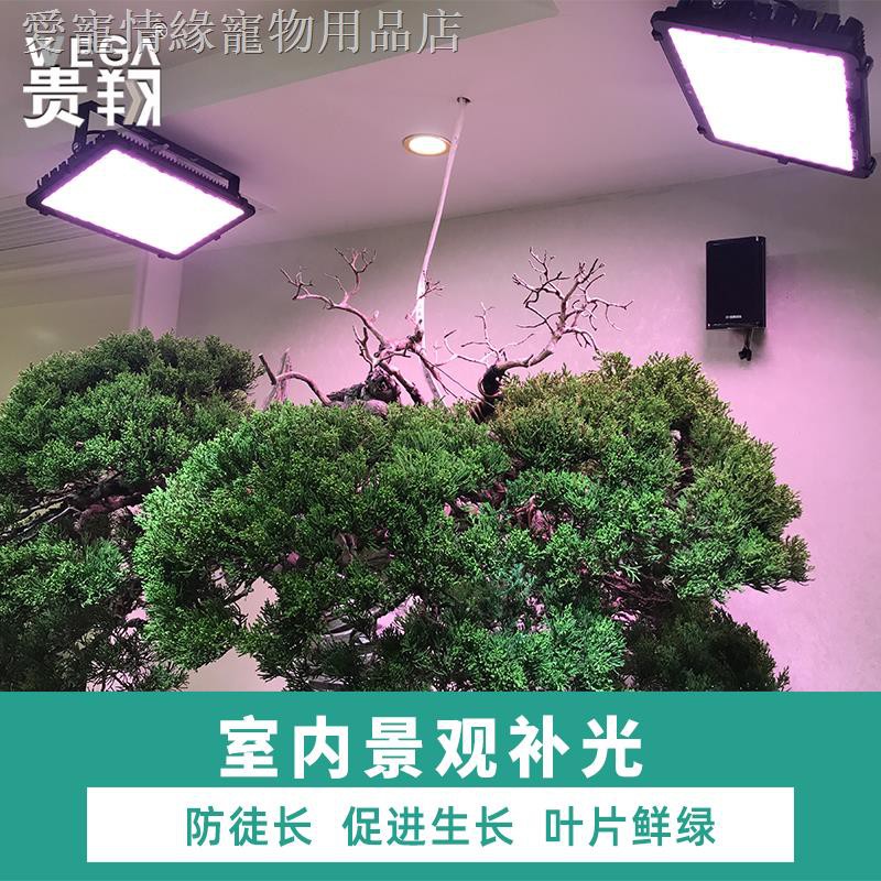 多肉補光燈貴翔 植物生長燈補光燈家用防水LED全光譜戶外投光燈仿太陽光