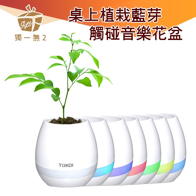 花盆植栽桌上藍芽觸碰音樂彌月禮物藍芽音響鄉村田園風室內盆栽擺設喇叭音箱花器花瓶彈鋼琴 獨一無2禮物店 蝦皮購物