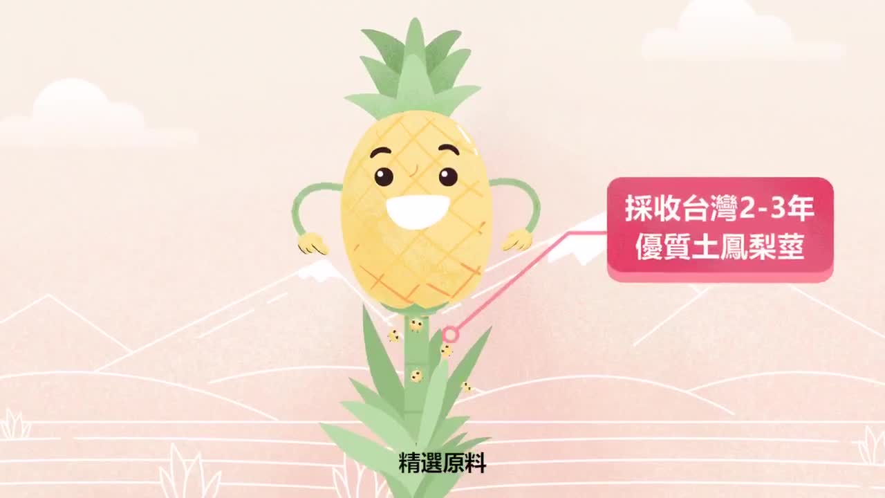大醫生技高活性鳳梨酵素膠囊 30顆[買3送1 買6送3]消化酵素 植物酵素 排便酵素 果蔬酵素