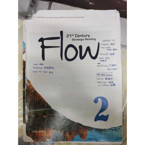 Flow 2 (21st Century Strategic Reading)