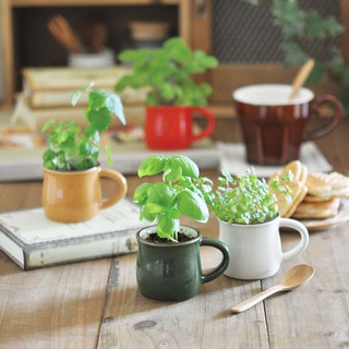 Verde Cafe-espresso造型種植盆器/咖啡杯 (日本正版授權/咖啡店/香草植物/咖啡控/禮物)