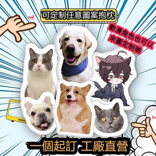 ✓ 💙店鋪免運（臺灣出貨）客製化 造型抱枕💙可客製動漫人物 客製造型枕 立體寵物抱枕 客製抱枕 模擬抱枕 客製抱枕