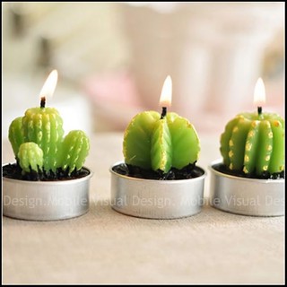 🌵療癒系模擬多肉仙人掌蠟燭(6個入)小禮盒🌵zakka雜貨/小清新模擬盆栽蠟燭/小禮物/裝飾盆栽