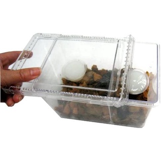 日本製 昆蟲飼育盒 防果蠅昆蟲箱 甲蟲飼養盒 獨角仙 鍬形蟲皆適用