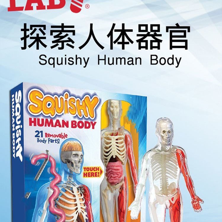 squishy human body