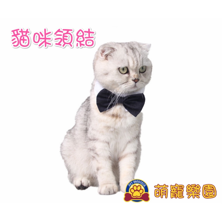 用line也能看謎片 Line Bot 紳士狗 紅到一度掛點 生活 自由時報電子報