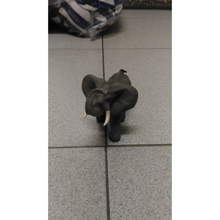 模擬野生動物模型套裝 亞洲象 非洲大象